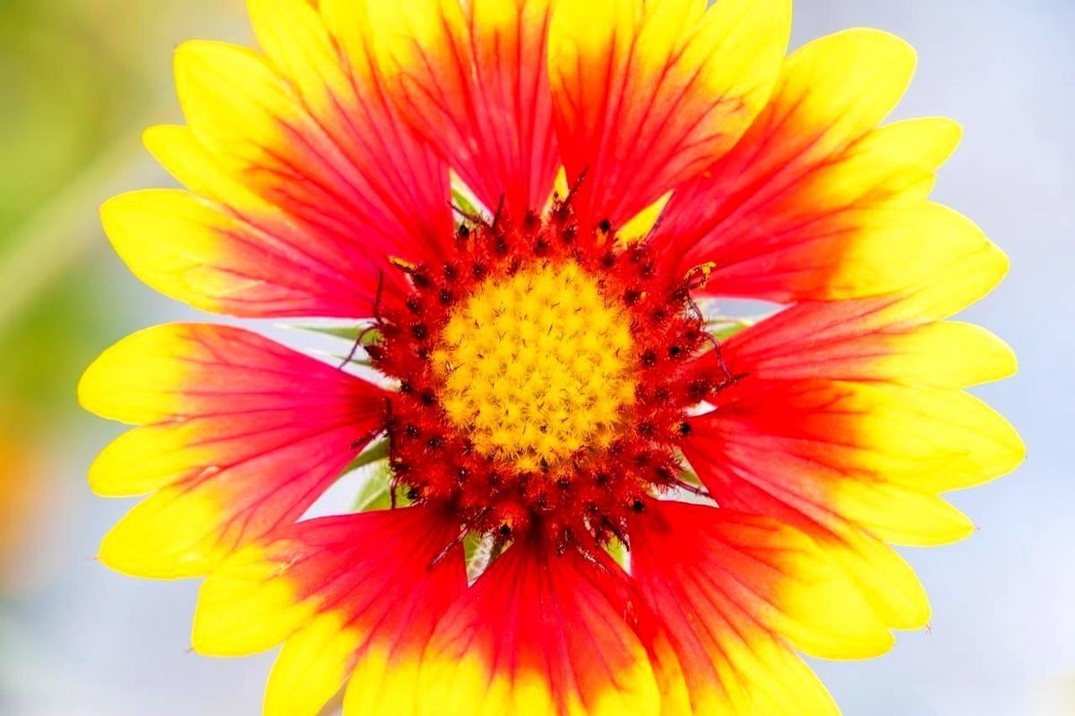 “跪下！”当着一屋子人，那个姓辉的，指着徐刚的鼻子。就在几分钟前，徐刚还满脸