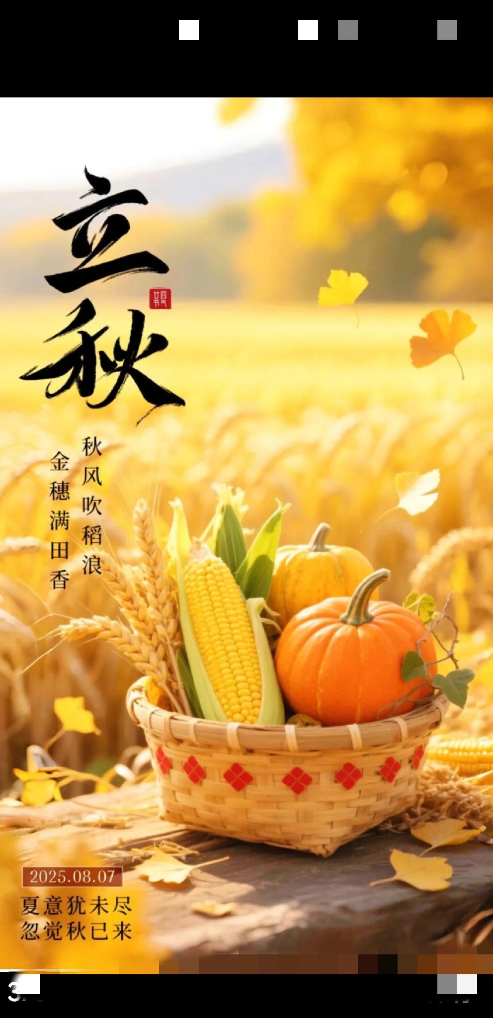 [玫瑰]今日立秋[玫瑰]云天敛夏色，木叶动秋声。暑热渐消弭，天高任翱翔。果
