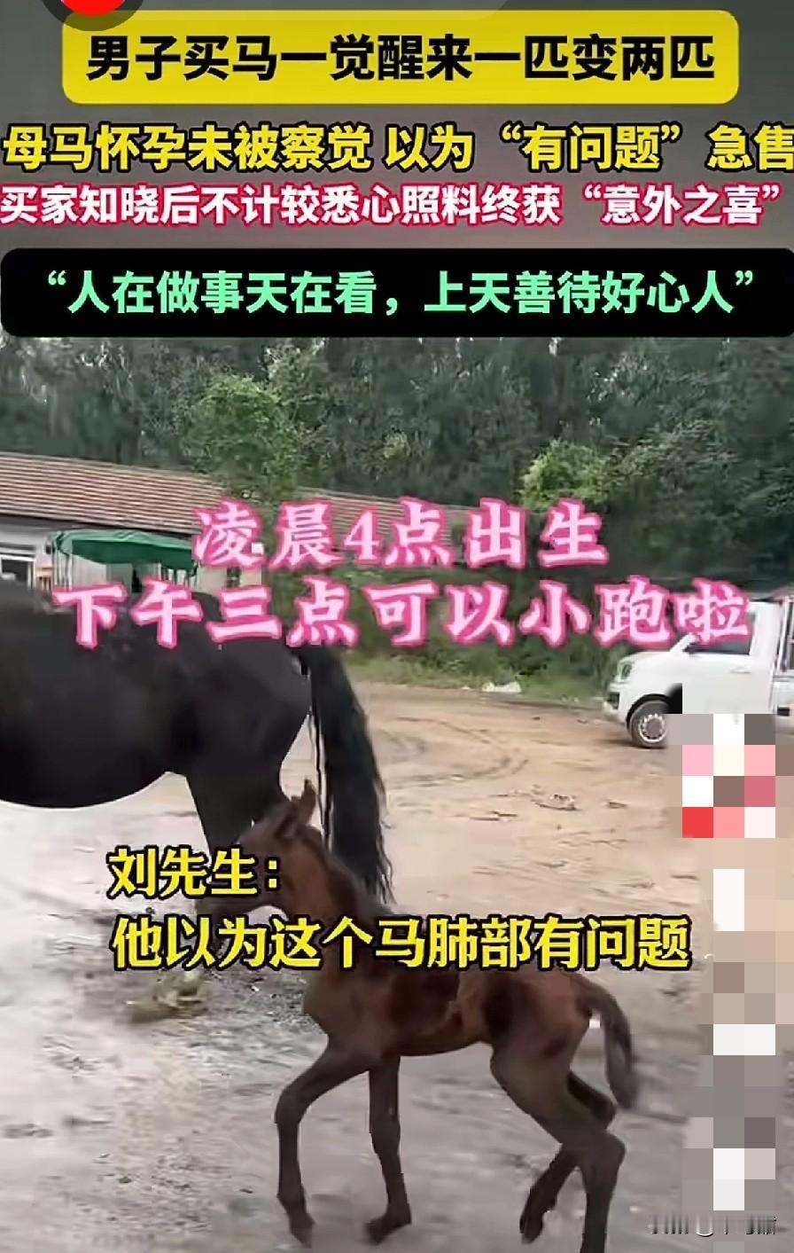 真是善有善报啊,一个人的善良确实会带来福运。近日一男子发视频,很喜悦的和大家