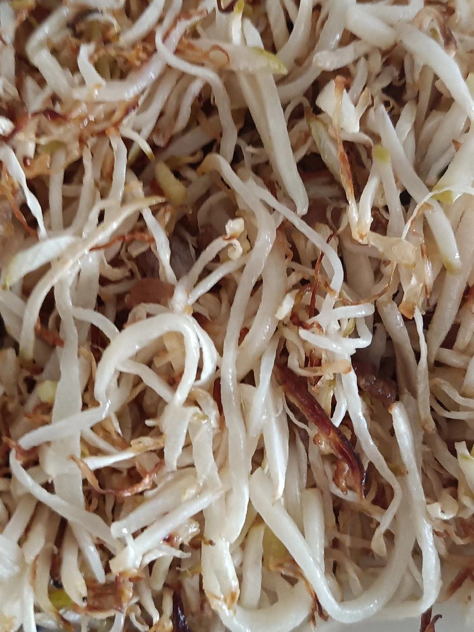 女儿说妈妈来了真好！最起码伙食不错！每天中午女儿都回来吃午饭，我昨天没来，亲家