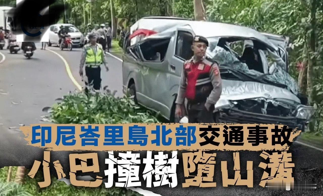 巴厘岛车祸5死8伤‼️凌晨追海豚变绝命之旅！巴厘岛旅游车刹车失灵⁉️5名中国公