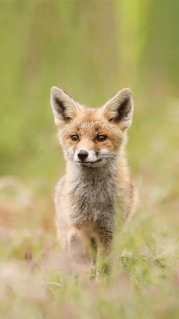 别小瞧任何人，风水轮流转是真的王志文有句人间清醒的话：哪怕你本事再大，别人不