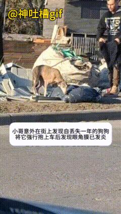 重获幸福的狗狗：小伙发现自己丢的一年多的狗狗，抱起狗狗的时候，狗狗还非常的陌生，