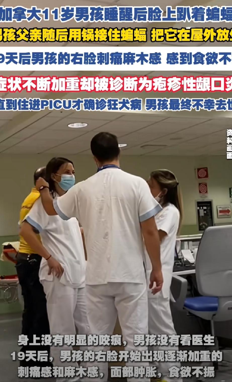 加拿大男孩接触蝙蝠感染狂犬病死亡2024年夏天，加拿大安大略省北部，一个11岁