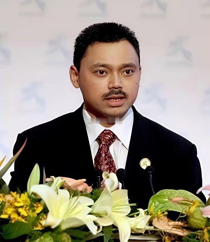一己之力改造王室基因！文莱混血王妃生的四个娃，终于不像爹了​​​​