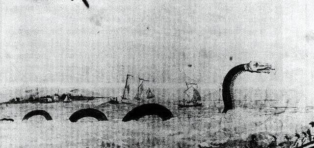 1851年，美国一艘捕鲸船在太平洋斩杀了一条巨大的蛇形巨兽。光它的头都熬了10桶