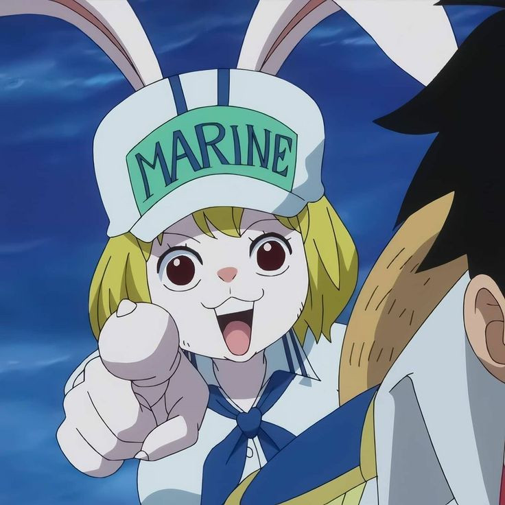 海贼王海贼王今天的主场是可爱的兔兔🐇​​​