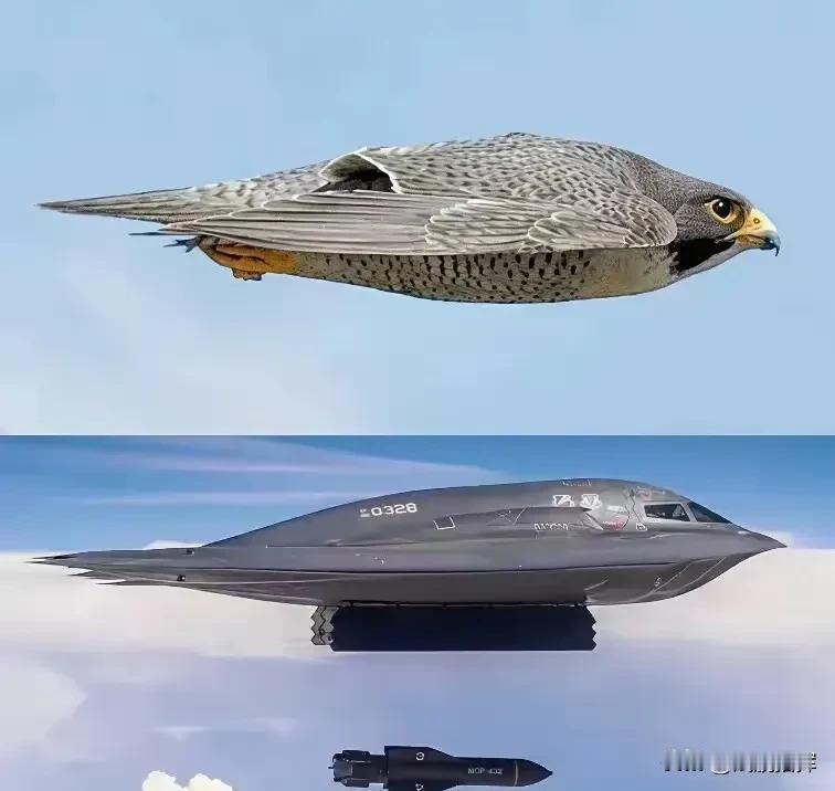 这就是仿生艺术够不够劲帅不帅气流畅的机身稳重的体态