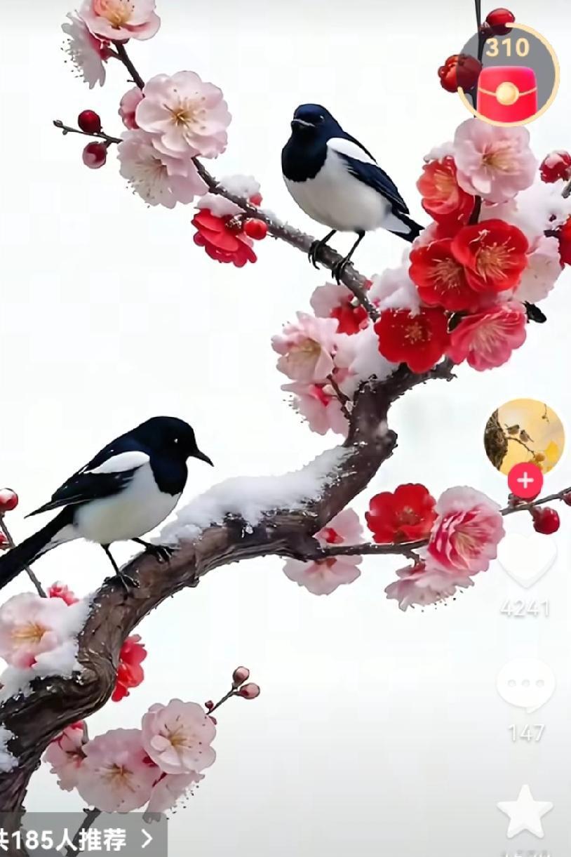 白酒会慢慢退出历史舞台吗？酒业负责任一语道破，“现在的年轻人都不喝白酒了”。