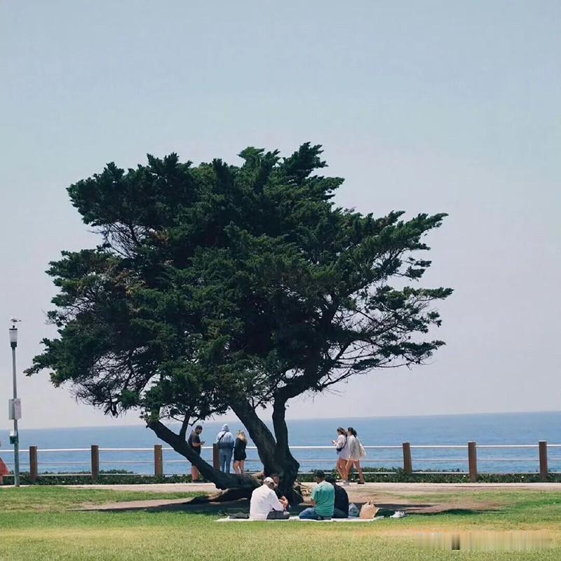 十二星座最不可能谈恋爱的对象：白羊：不会和脾气不合的人谈恋爱金牛：不会和自