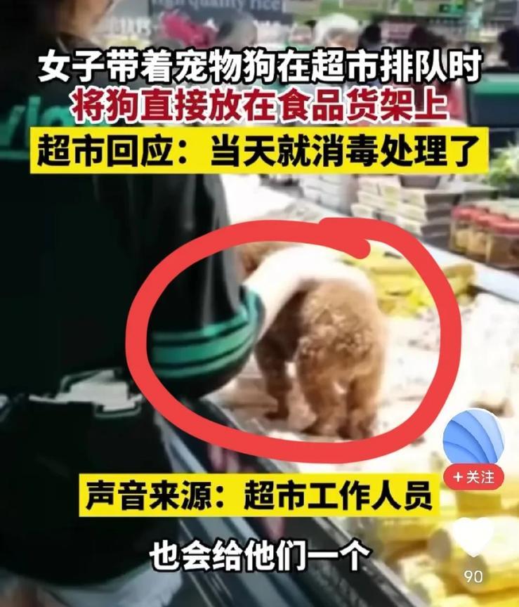 这就是许多人讨厌养狗人的原因！视频里能看到，一个女子带着她心爱的狗进入商场购物，