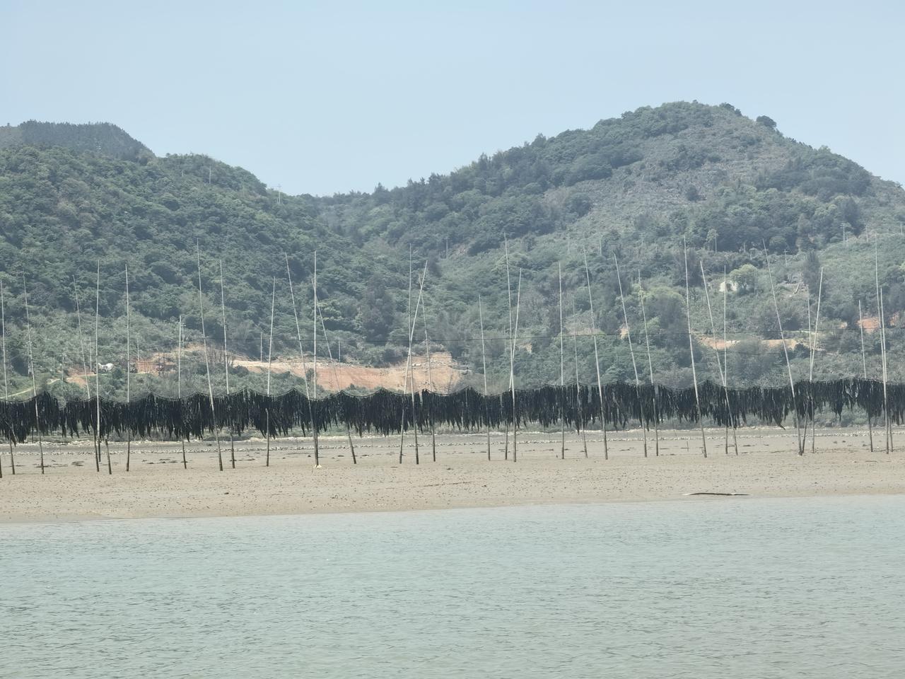 阿联酋退出欧佩克，绝对是对中国不利的。第一阿联酋是中东最亲美的，第二前几天来