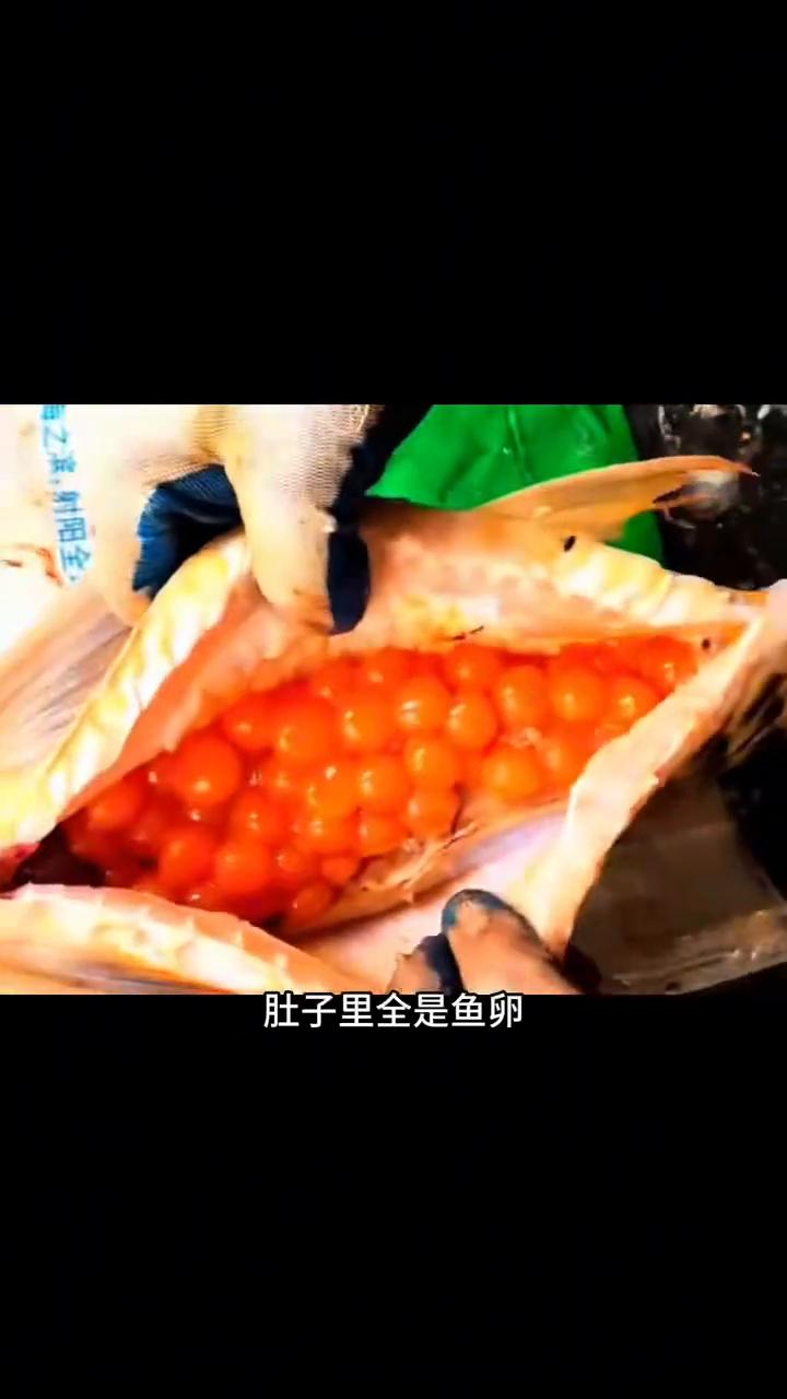 十年养鱼无人问，一招爆缸天下知。江苏无锡一位老板怎么也没想到自己价值三十万的水中