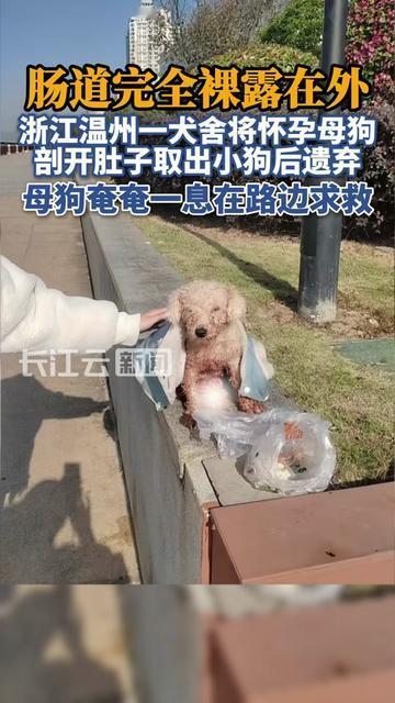 凌晨小区的纸箱子，把保洁阿姨的手都抖了！刚摸进去是黏腻的温热，掀开一看，