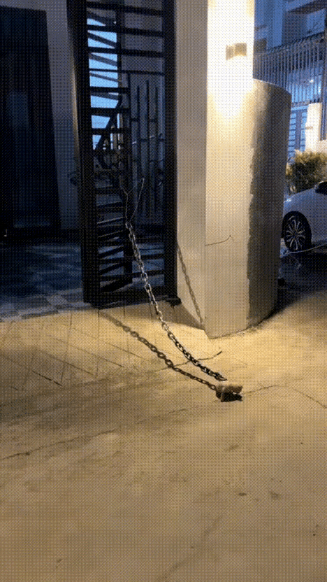 这狗是犯天条了嘛~无德狗主人
