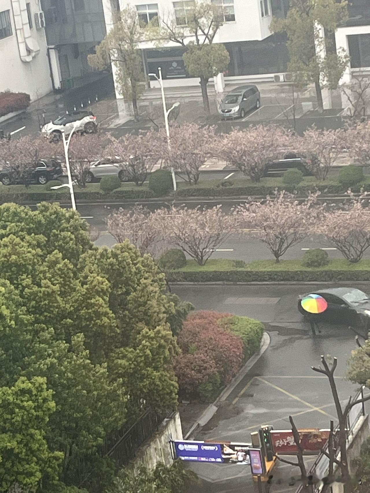 路上安全谈。上班的地方离家约3公里，一路上要经过5个红绿灯，十分钟也不用，但