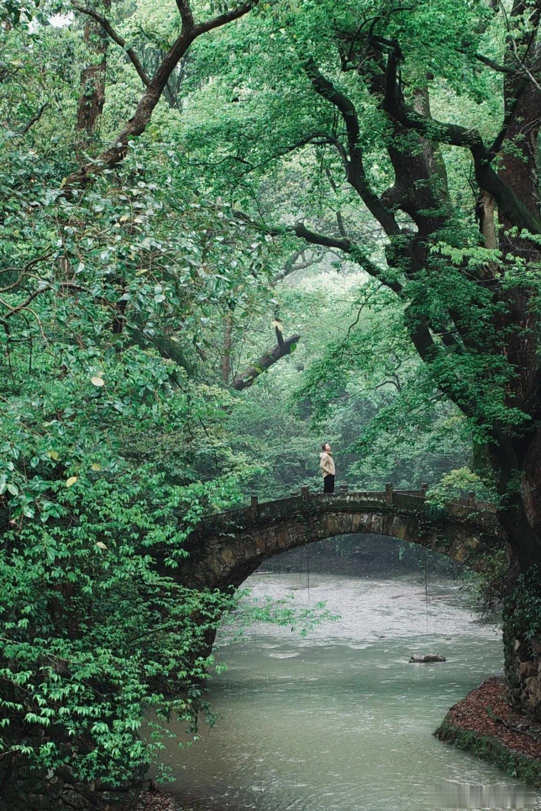 盛夏追光之旅微博旅行ing天台县的山水真是个“天然氧吧”！绿树成荫，瀑布飞流，仿