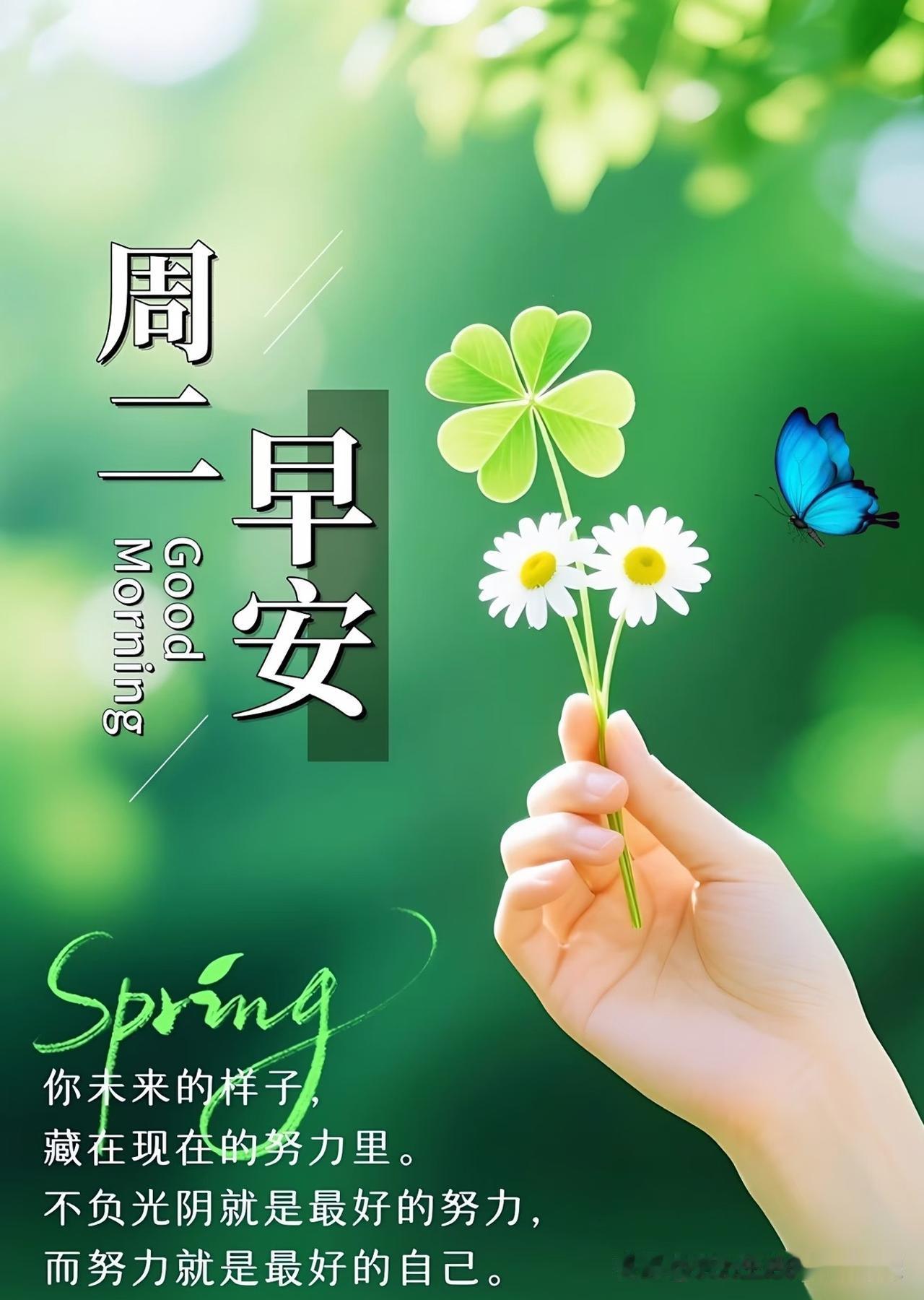 周二早安🌿日子不急不缓，生活平平淡淡。把昨天的疲惫放下，带着一份平和的心迎接
