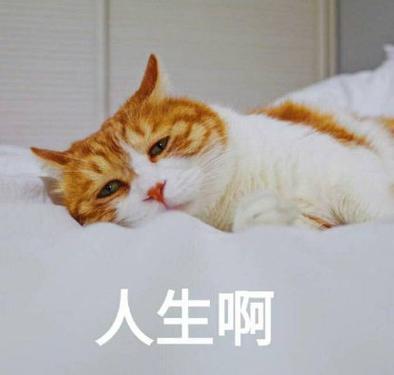 窝囊废丈夫全小区的人都知道我爸是窝囊废，烂泥扶不上墙，这是我妈每天骂他的二句话