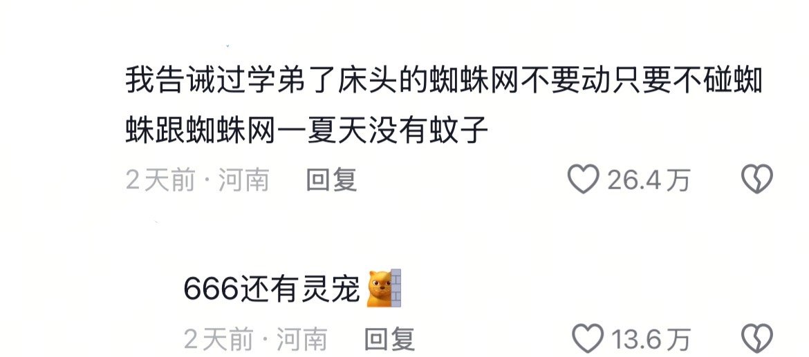 学长的大智慧​​​