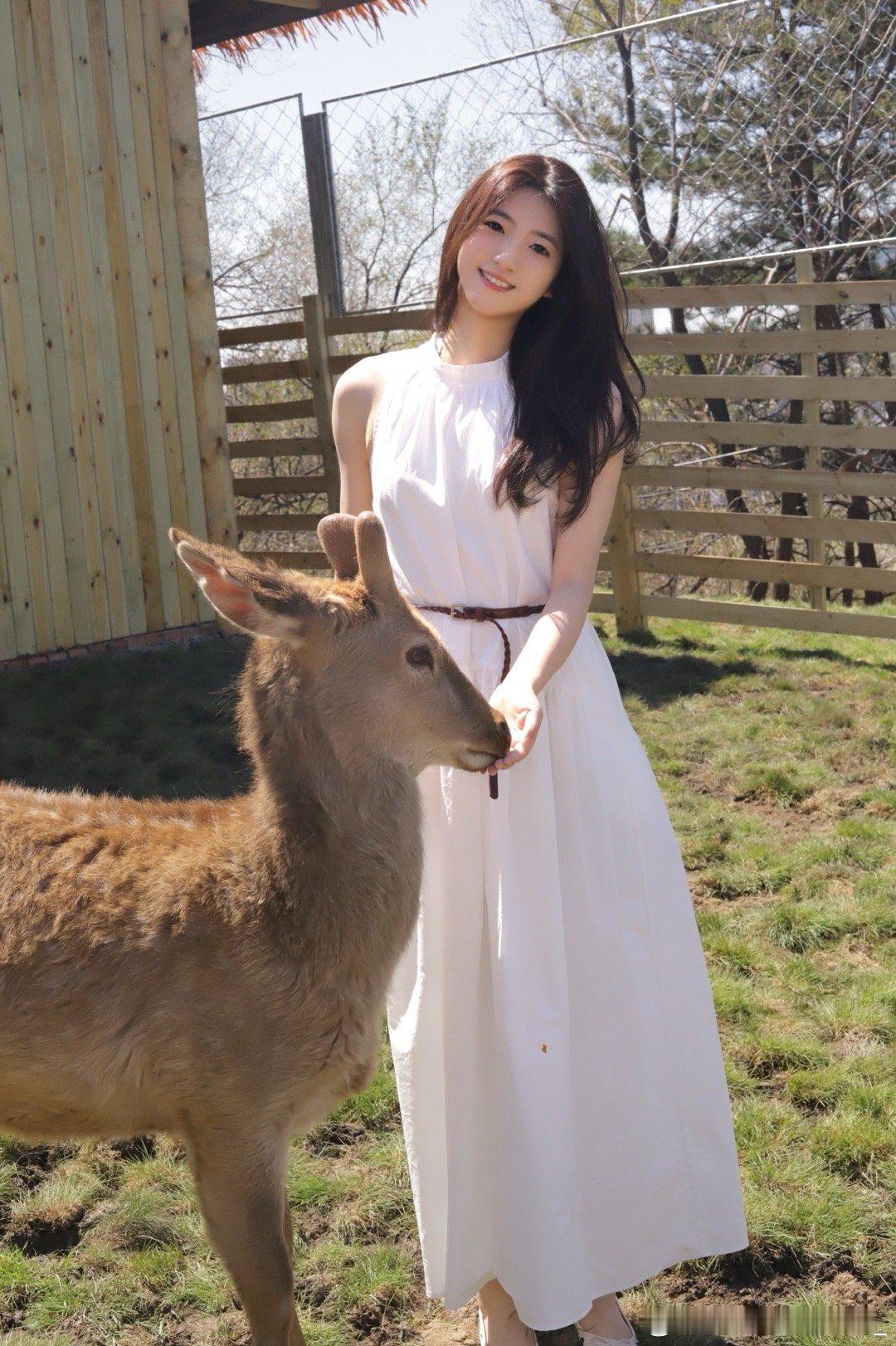小鹿🦌​​​