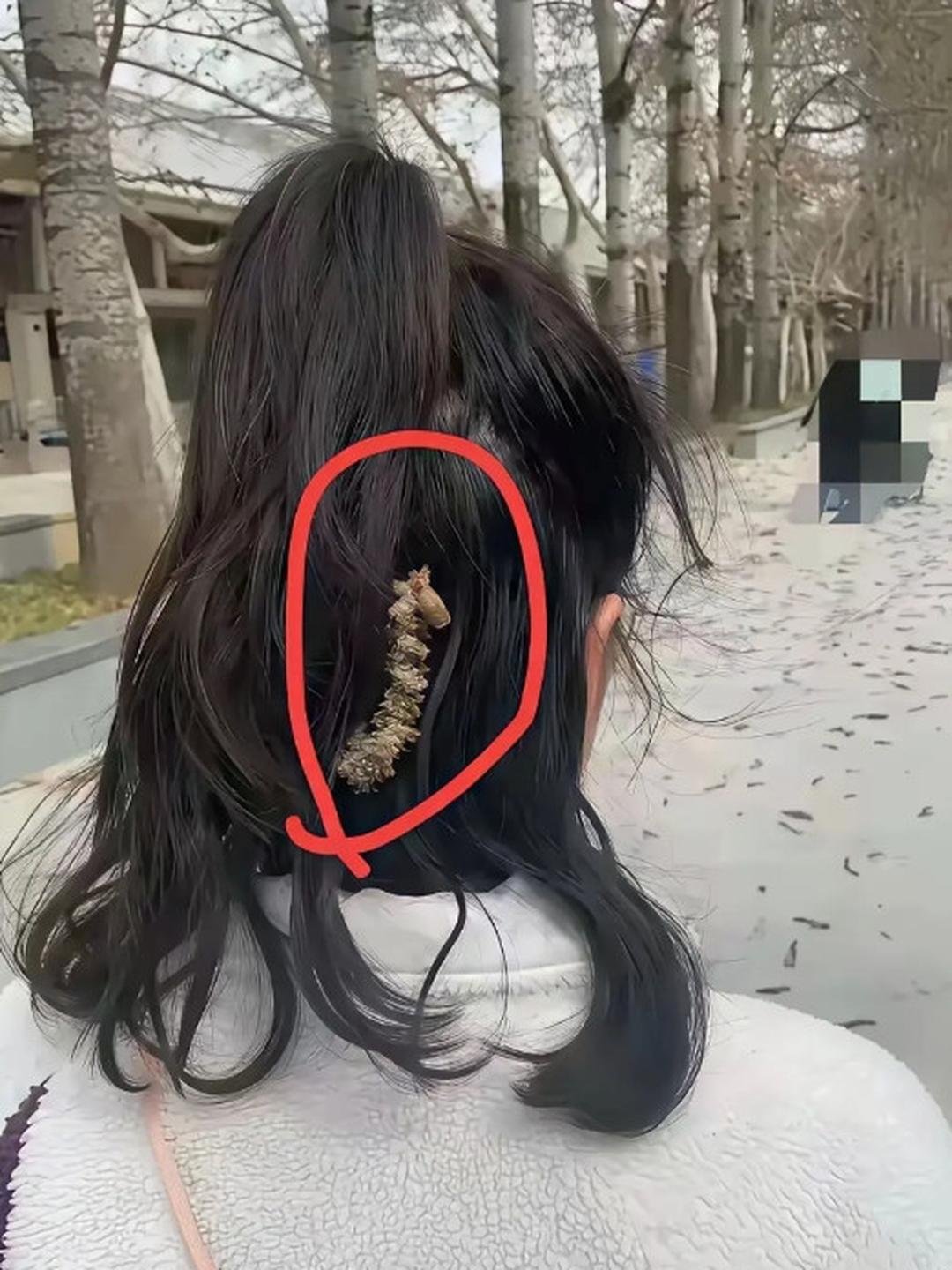 起了一身的鸡皮疙瘩！！！​​​