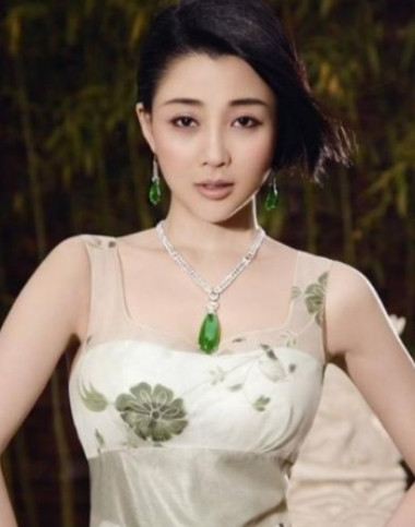 当年，殷桃在富豪孙东海的疯狂追求下，成为了他的女人，没想到孙东海又惦记上了女星李