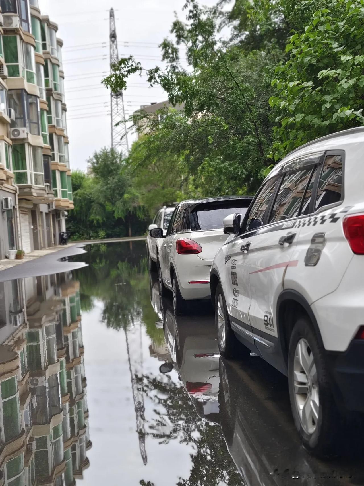 不一样的“天空之境”雨后的空气里浮动着清新与悦动，水珠在树叶上摇晃，积水路面的