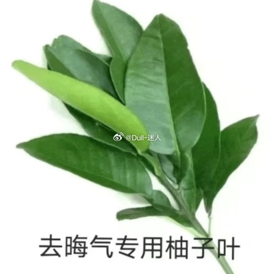 全世界都在恋爱，就我在家收拾了三天三夜房间是吧