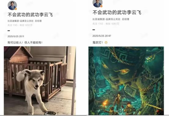 比亚迪好歹也是500强了，而且还是500强中比较靠前的，公关负责人发些狗可以咬人