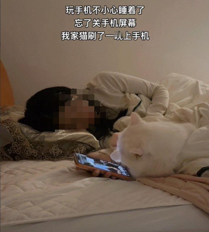 太有灵性了！广东一女子躺床上玩手机，玩着玩着睡着了，结果，她养的猫咪却爬上了床，