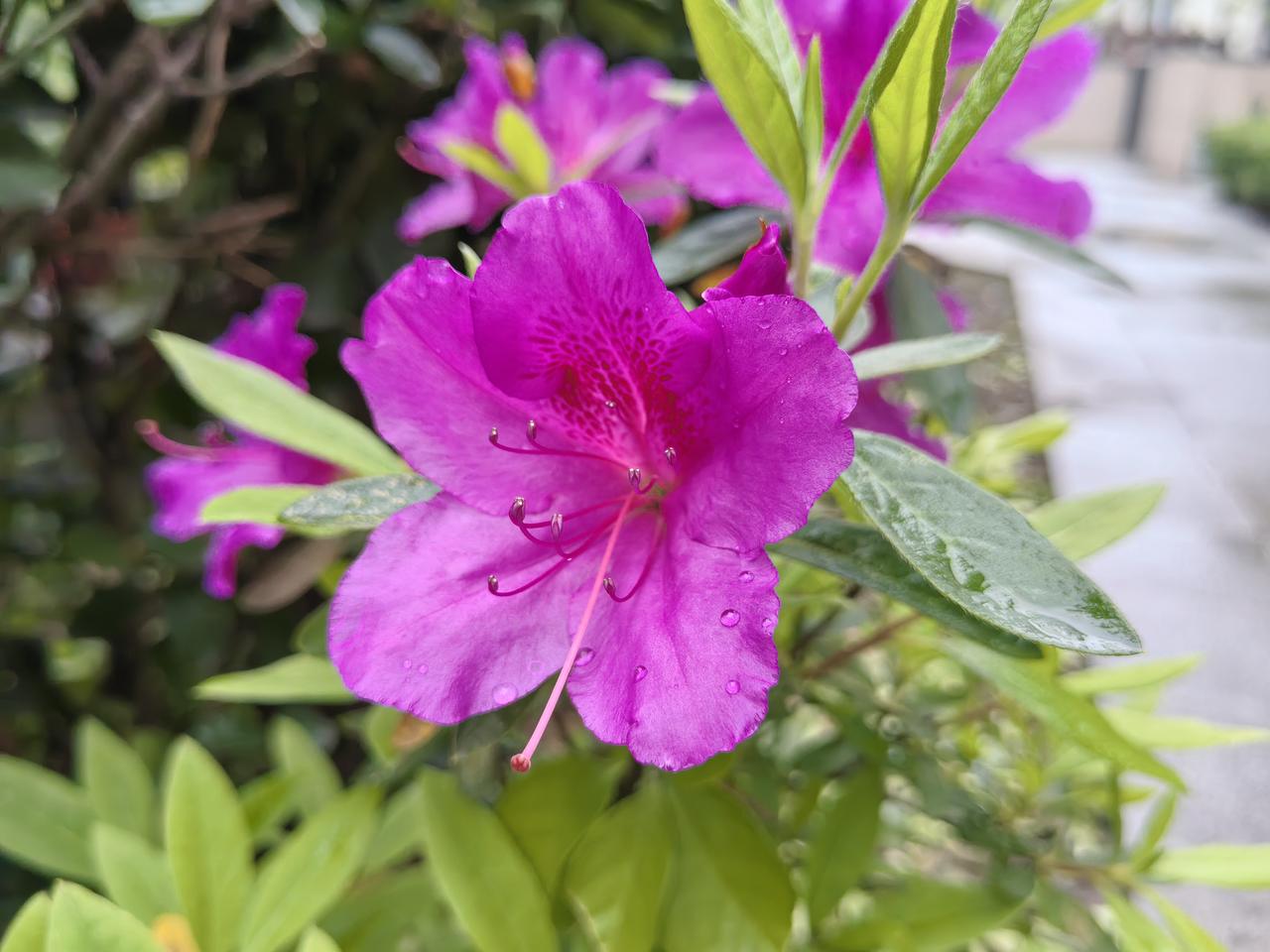 一直以来，我和老公都是AA制。那是建立在彼此非常信任的基础上。昨天，把家庭财