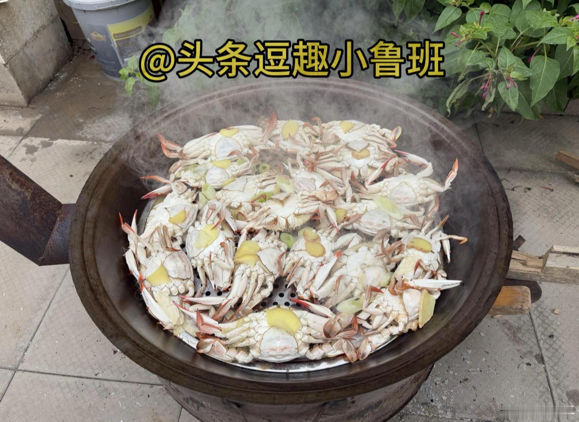 这一锅大螃蟹应该很贵吧[笑着哭]