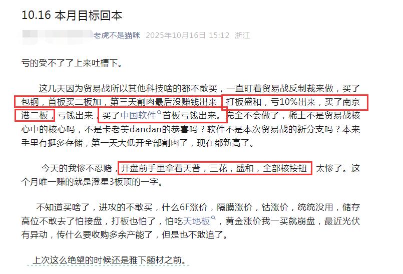 老虎不是猫咪亏嘛了！这个月的目标是回本，典型的追涨杀跌啊，看到有大资金就去追盛和