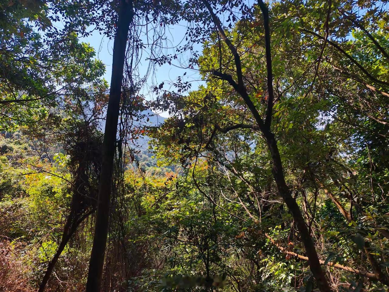 交易者要戒掉急躁状态急躁，是交易的敌人。急躁，是一种情绪，会让人急于求成，拔苗助