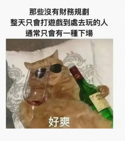 整天打游戏到处去玩的人