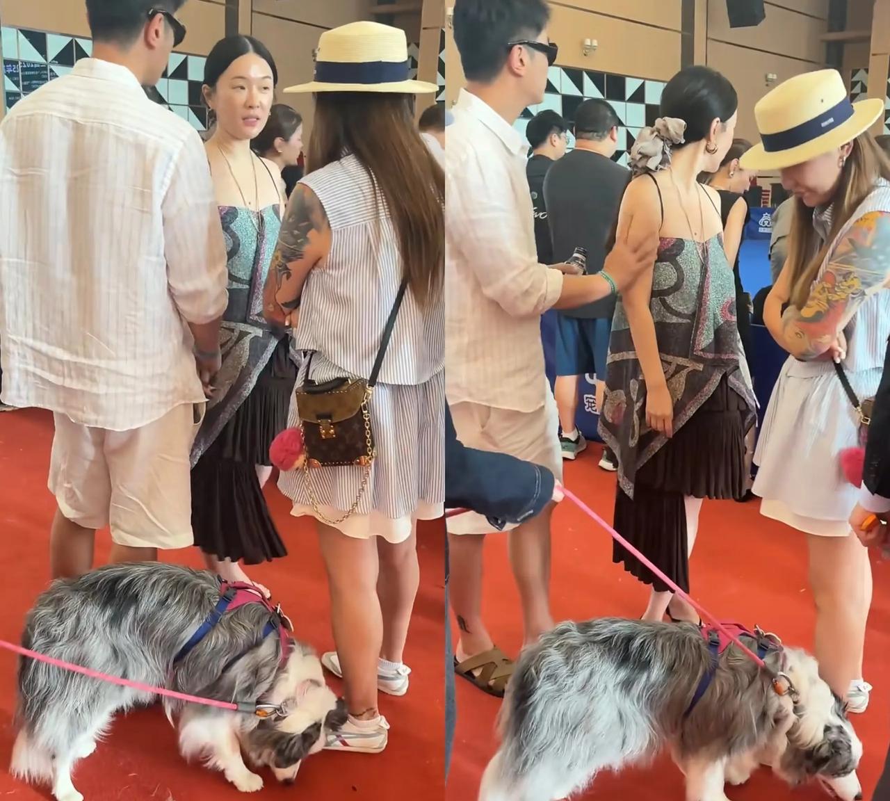 狗狗大赛上偶遇杜江霍思燕夫妇！能够看到，霍思燕和杜江十分恩爱，两人在公开场合都非