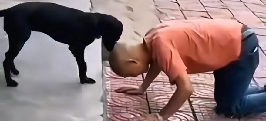 人们常说“骗你是小狗”，而小狗从不骗人。钓鱼郎不慎掉入深潭，高呼救命。路过的小黑