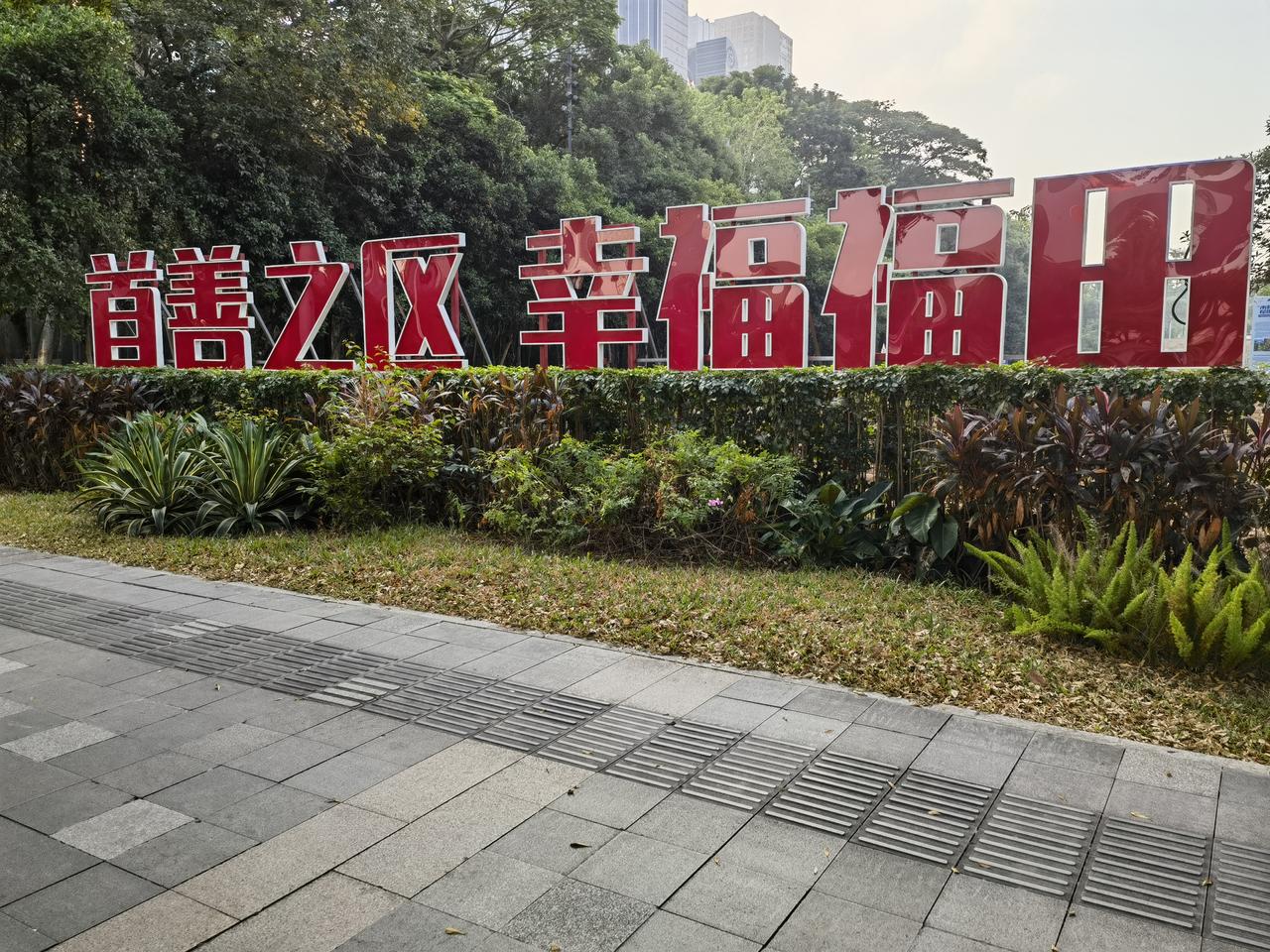 深圳福田系列篇（十六）标题：家乡的菊花深秋季节，粤北山区，太阳迟升却早早下山