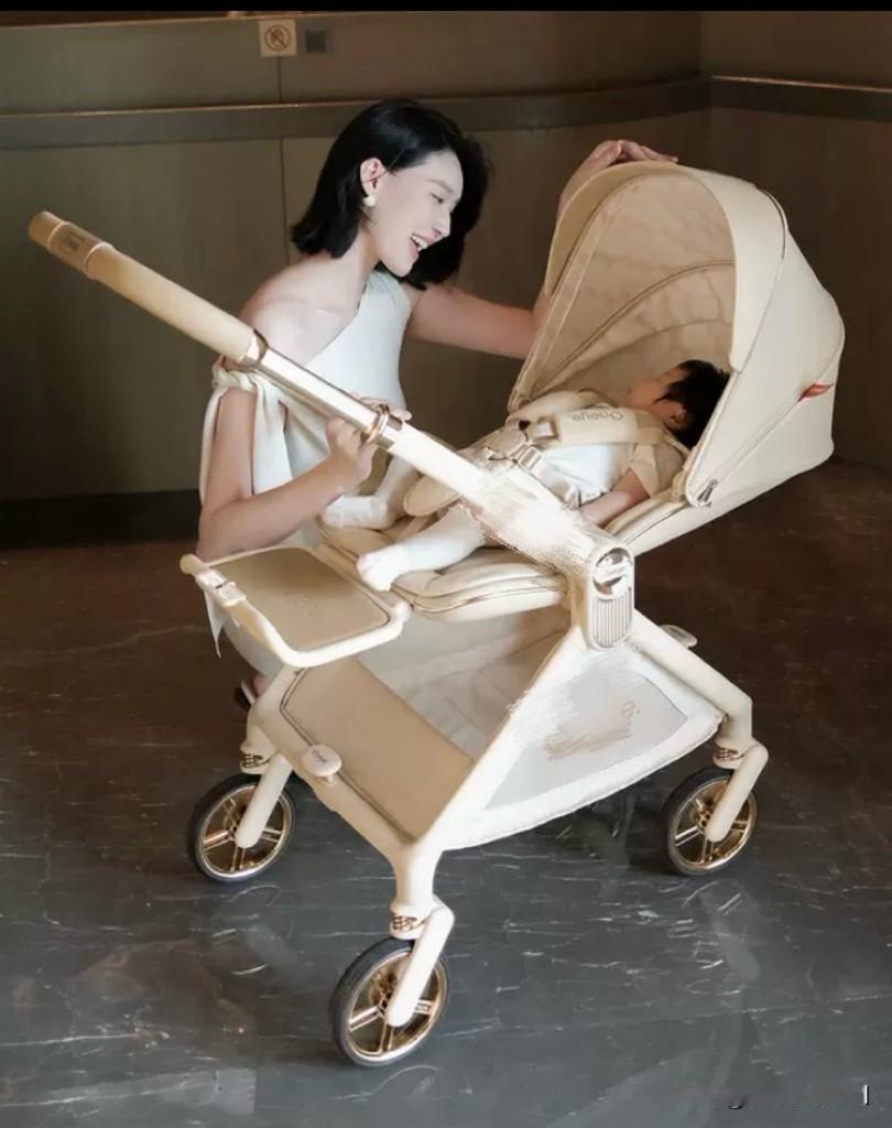 中国人生孩子的4个目的今天听一个00后的同事谈论结婚生孩子的话题，她说她是不