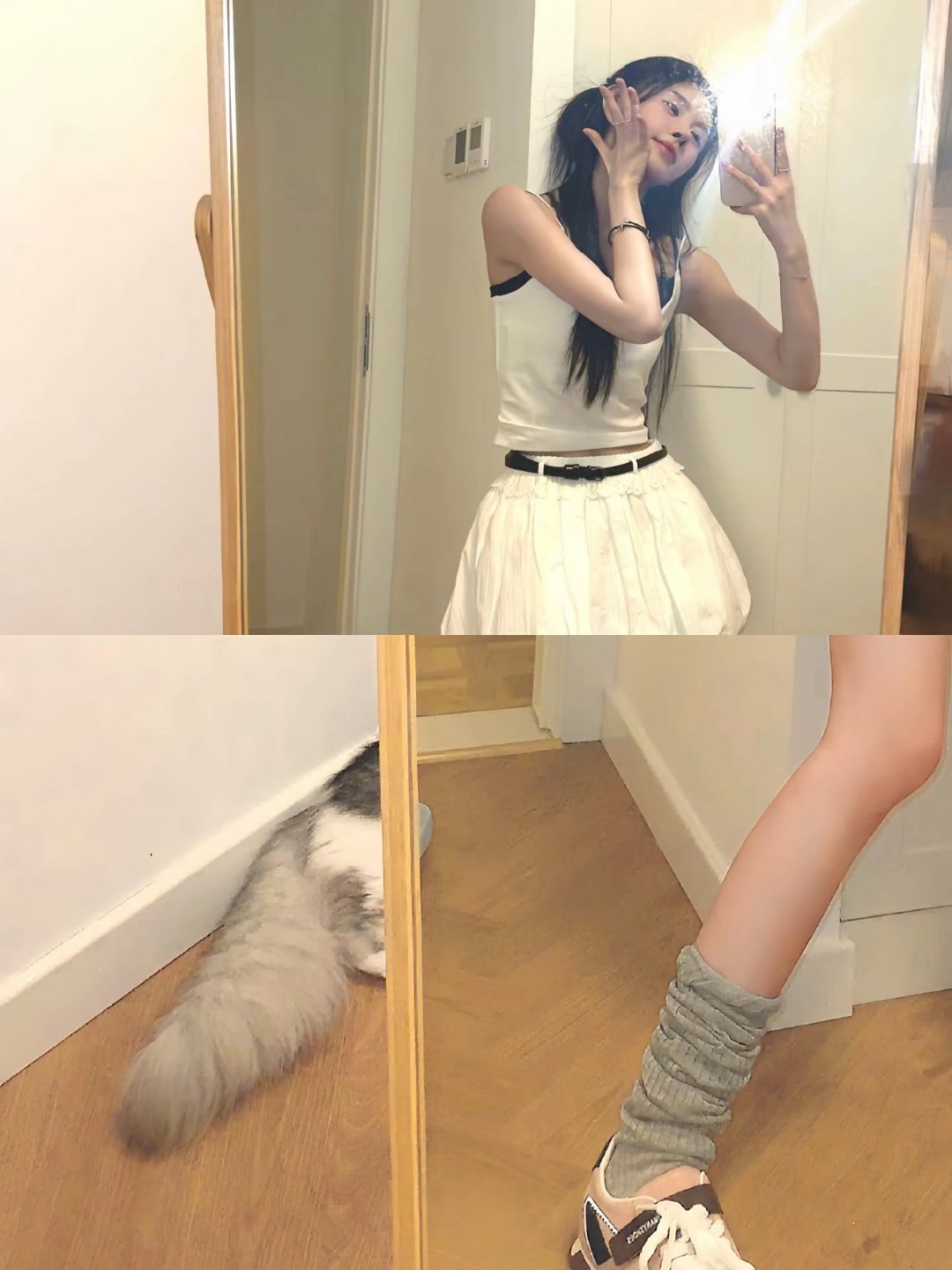 这是那只猫？嘻嘻？哈哈？​​​