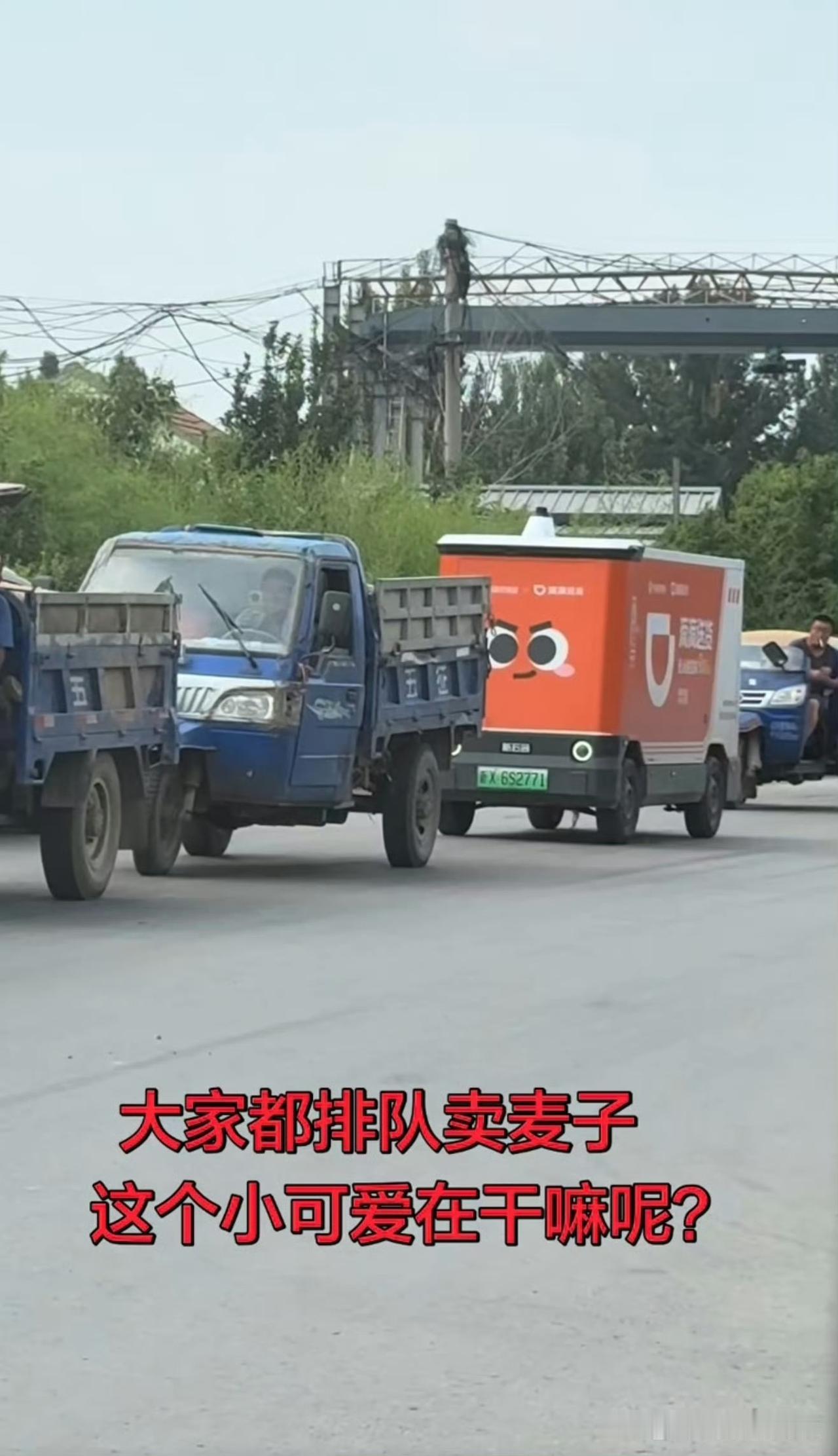 哈哈哈哈凑热闹