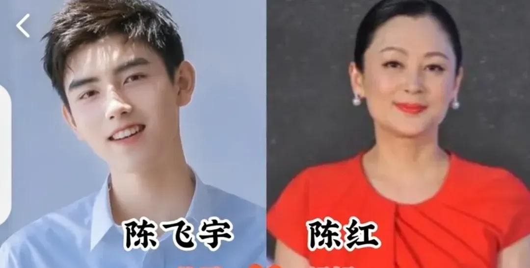 陈红的儿子。伊能静的儿子。袁咏仪的儿子。王琳的儿子。张柏芝的儿子。狄波