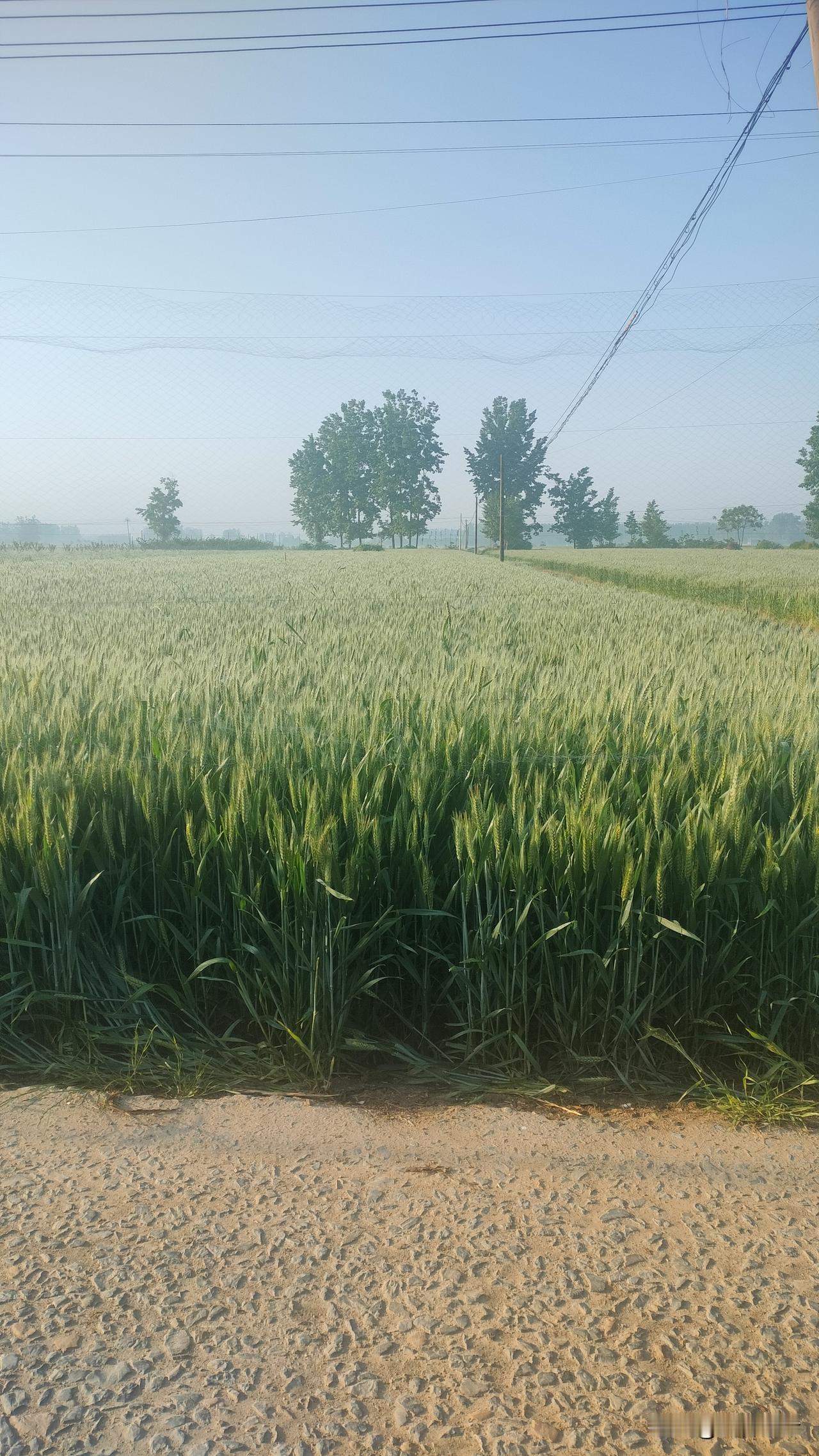 有人这样总结男女情，道尽了男女的天性差距：男人若爱你，那可是真的爱，身子还有心思