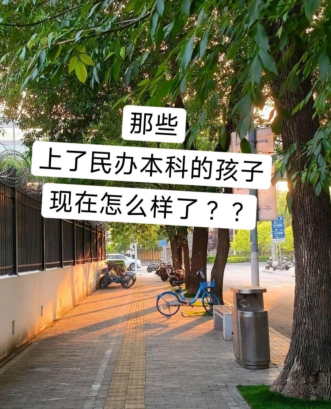 没有人愿意上民办本科，除有钱或者执拗...500多分，湖北地区。前面的好几个学校