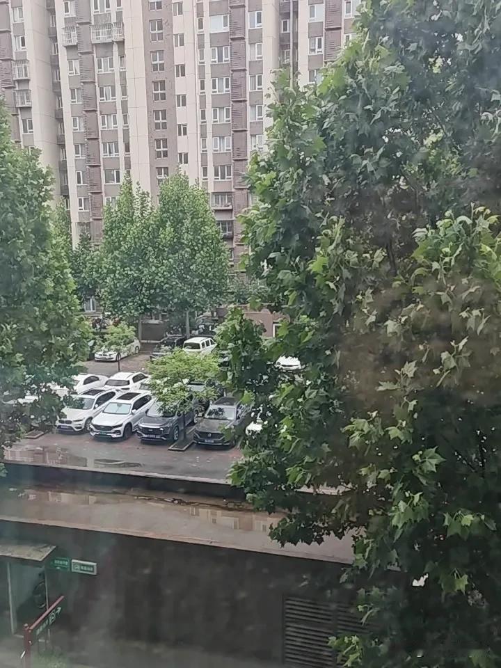 昨天一直下雨，今早气温稍微有点凉，刚刚拿出的裙子，穿着肯定显冷。还是运动衣合适