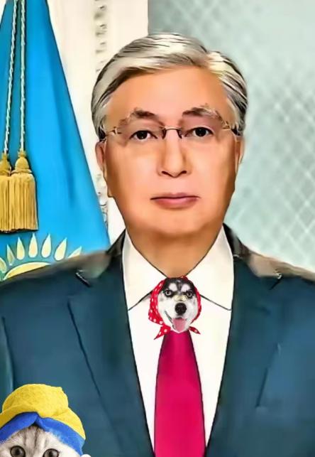 哈萨克斯坦外交部宣布了！2026年1月14日，哈萨克斯坦外交部紧急发声，重申