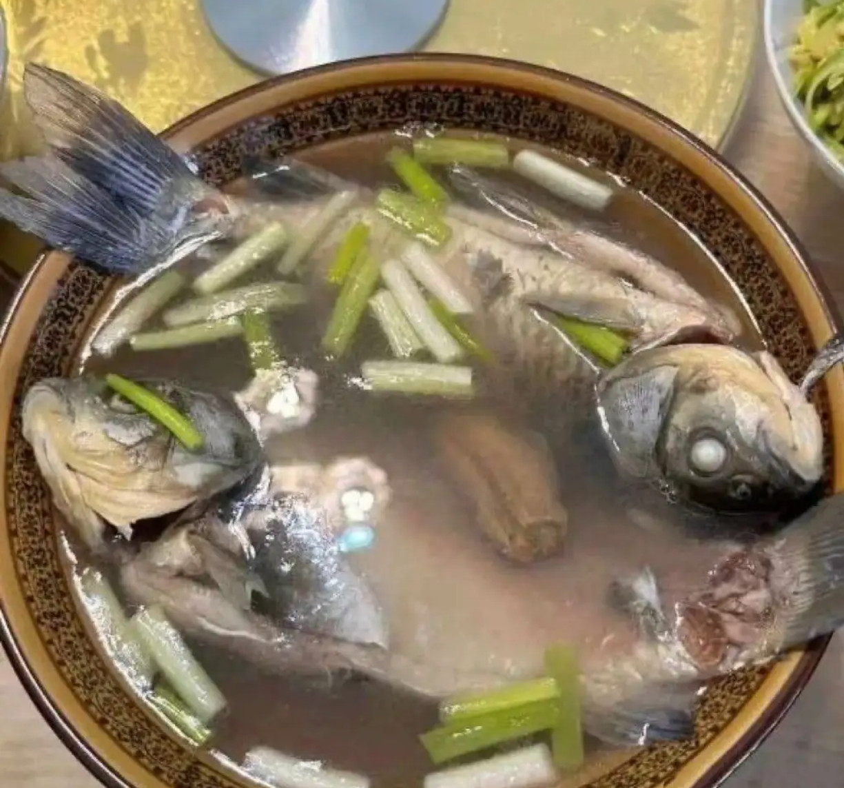 为什么我煮出来的鱼汤不是乳白的？?​​​