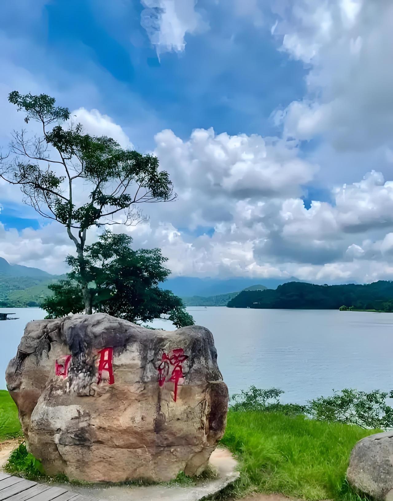五一，台湾省感到了压力，没有游客，惨不忍睹。据台旅游部门数据显示，5月1日至5
