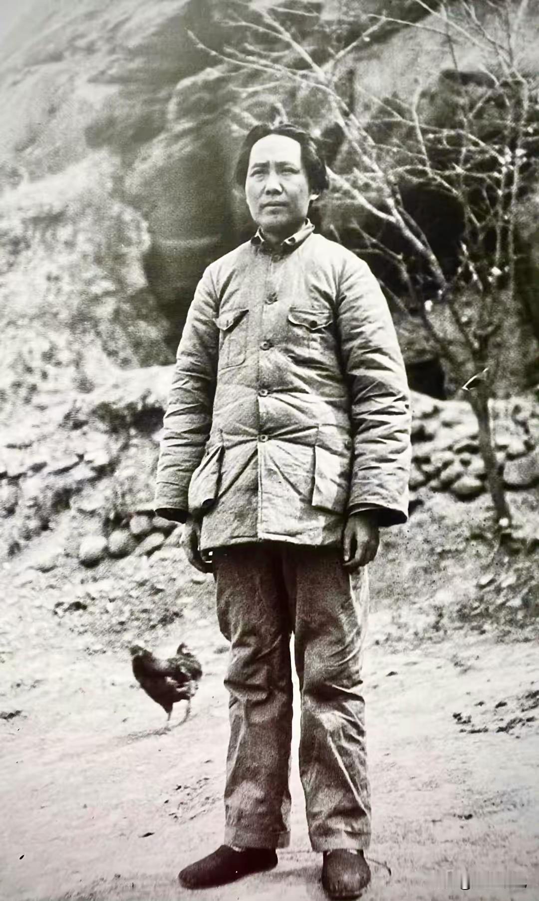 这张“鸡闯镜头”的老照片，藏着历史最动人的巧合与底气！1936年初冬的保安，伟人